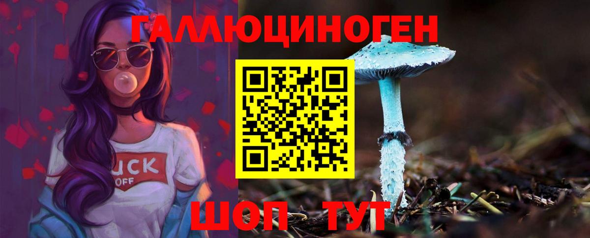 Псилоцибиновые грибы Psilocybine cubensis  Вход с VPN  Керчь  Псилоцибиновые грибы мухоморы 